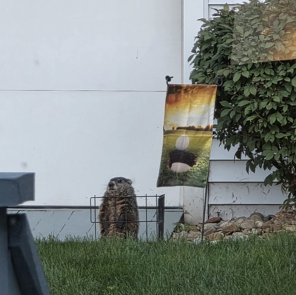 ๐ฆ ABOUT ME ๐ฆ โจ JEWELRY โจ - Picture 14 of 16